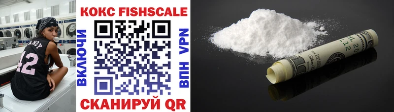 Купить  Мураши  Cocaine Эквадор 