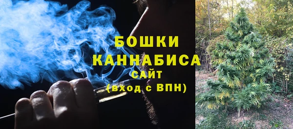трава Елабуга