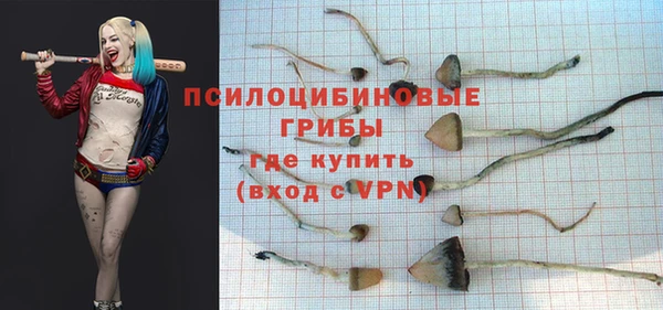 трава Елабуга