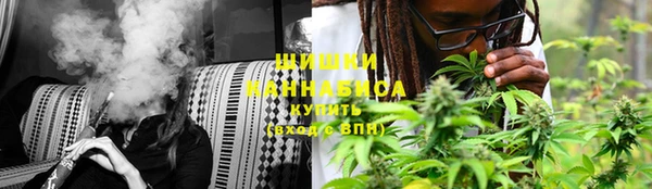 трава Елабуга