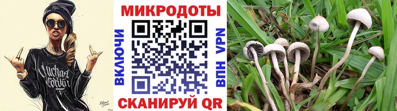 Галлюциногенные грибы Psilocybe  Купить закладки  Мураши 