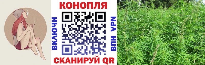 Купить  Мураши  Канабис ГИДРОПОН 